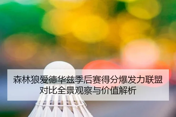 森林狼爱德华兹季后赛得分爆发力联盟对比全景观察与价值解析